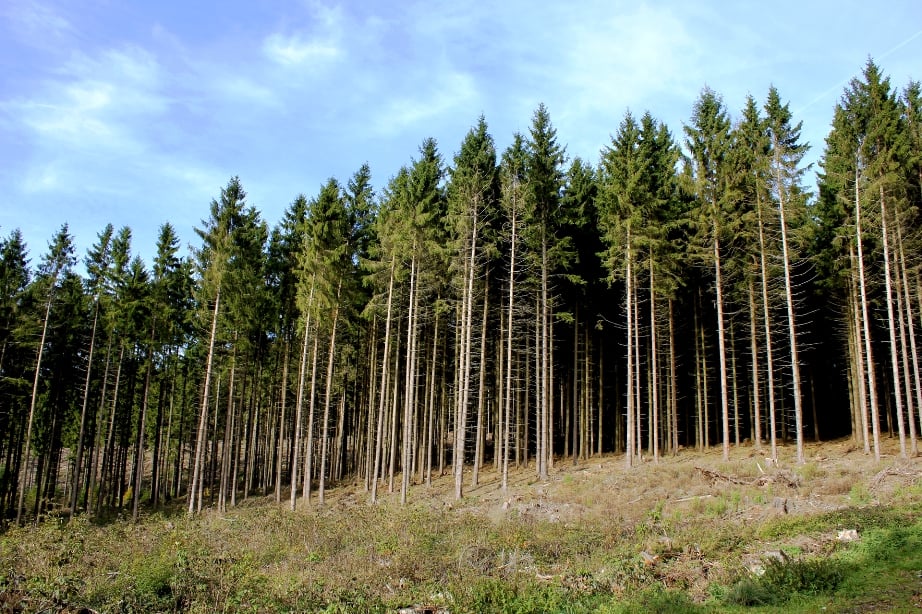 PTPCTourism PTPC Tourism PakistanPTPC Pakistan PTPC Pakistan Tourism Promotion Council Pakistan Tourism